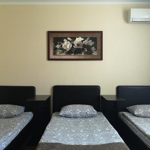 Номер №9 Стандарт с Тремя кроватями  (90+90+90см) до 3-х гостей + доп. место