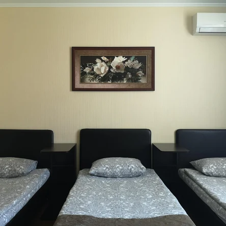 Номер №9 Стандарт с Тремя кроватями  (90+90+90см) до 3-х гостей + доп. место